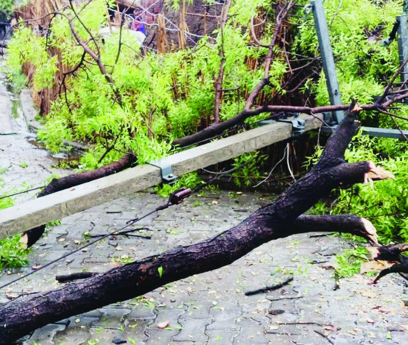 अंधड़ का कहर, दो क्षेत्र में 55 से अधिक बिजली खंभे धराशायी, आपूर्ति ठप