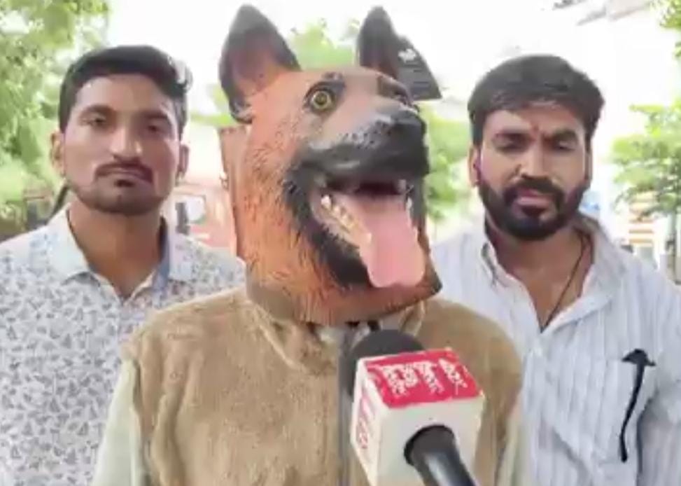ये हाल है देश का,देखिए वीडियो,भाई,पैसे तो खा लिए,नसबंदी कहाँ की,40 लाख खर्च हुए कहां हुए, अब तो कुत्ता भी बोल रहा है ❓😜😜 मध्य प्रदेश में अनोखा प्रदर्शन कुत्ते की पोशाक पहन के कलेक्टरेट पहुँचा आदमी मतलब प्रशासन को स्ट्रे डॉग्स की समस्या समझाने के लिए खुद डॉग बनना पड़ा।